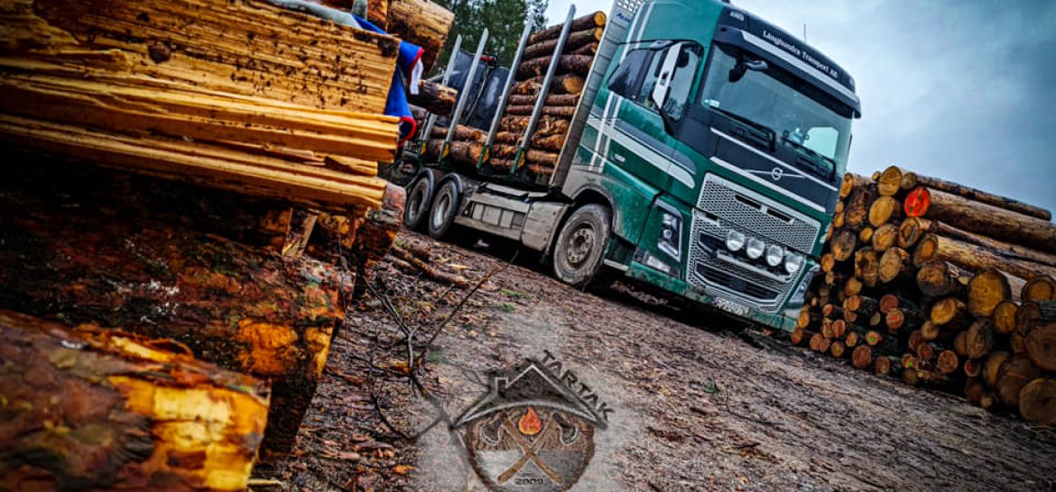 transport drewna lubuskie